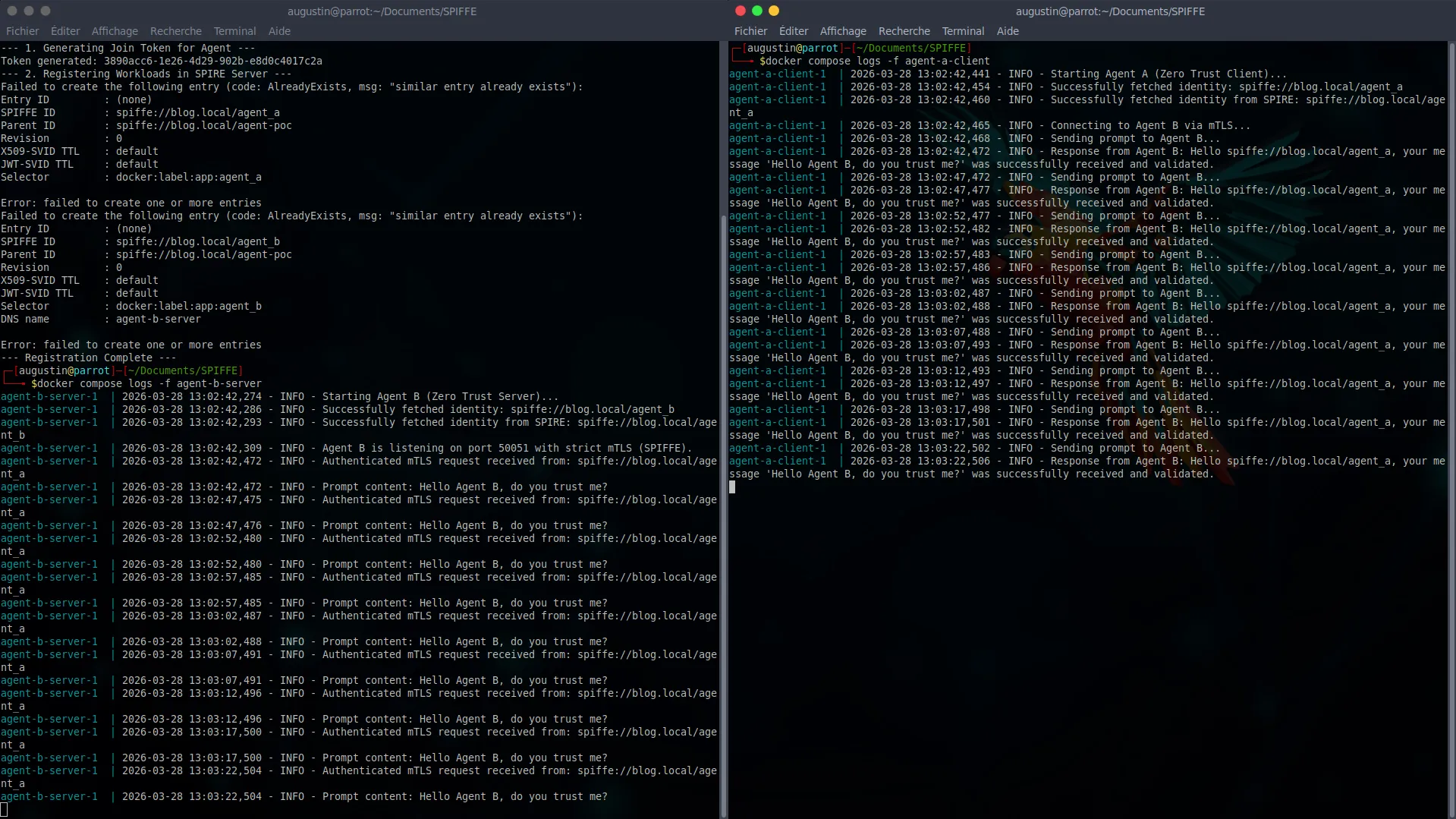 #wide Terminal logs showing successful mTLS tunnel establishment