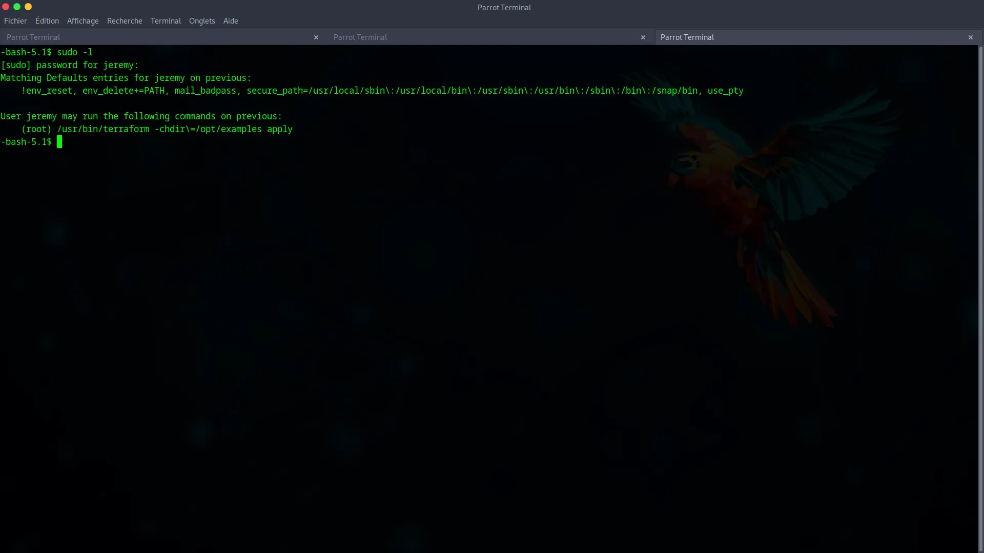 Output of sudo -l showing Terraform permissions